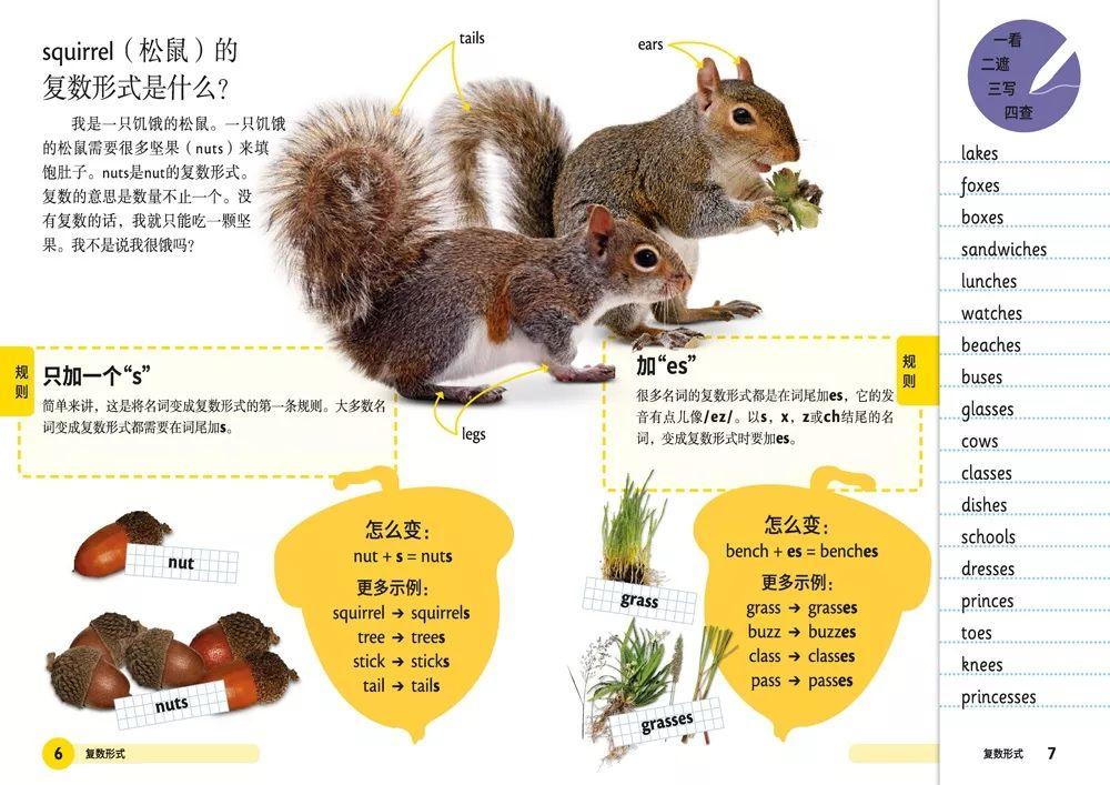 百色_管家婆一肖一码最准资料公开,防范调查-全面释义、解释与落实
